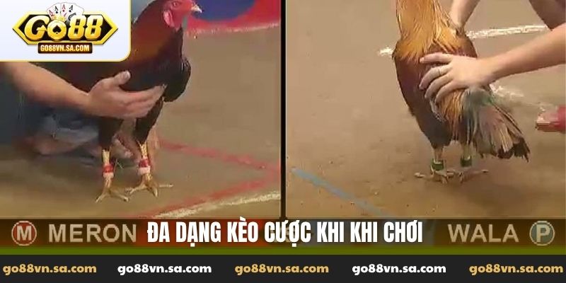Đa dạng kèo cược khi khi chơi