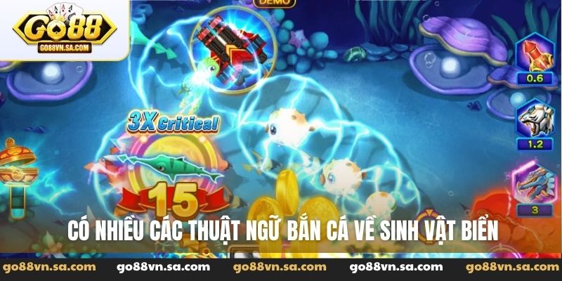 Có nhiều các thuật ngữ bắn cá về sinh vật biển
